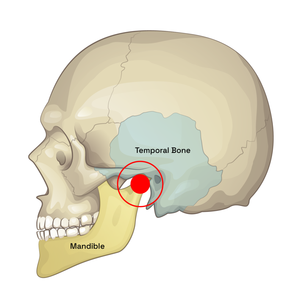 TMJ Specialist Near Me | Ingenic Dental Studio